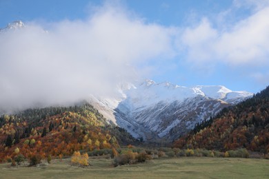 Picturesque view of mountains with forest and meadow on autumn day