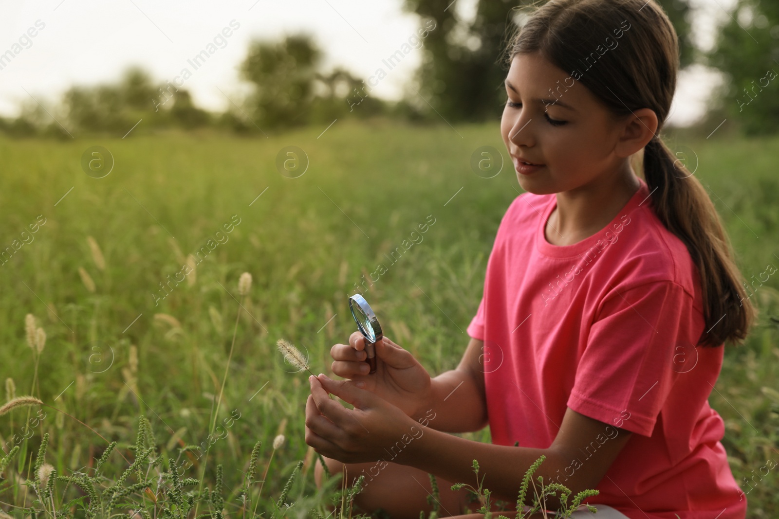 Photo of Cute little girl exploring plant outdoors, space for text. Child spending time in nature