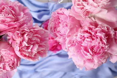 Photo of Beautiful aromatic peonies on light blue fabric, flat lay