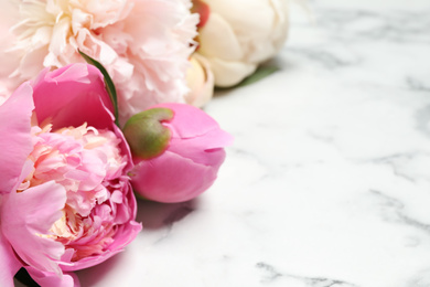 Photo of Beautiful peonies on white marble background, closeup. Space for text