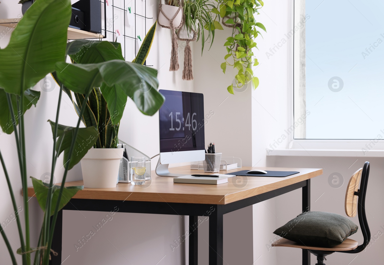 Photo of Cozy workplace with computer, modern furniture and houseplants at home