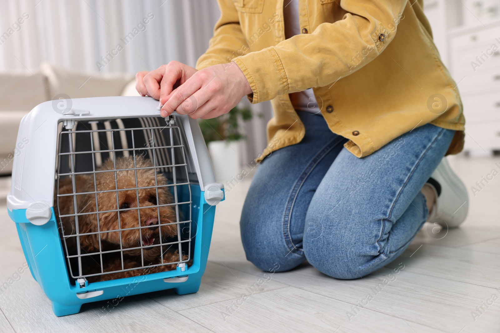 Photo of Woman closing carrier with her pet before travelling indoors, closeup