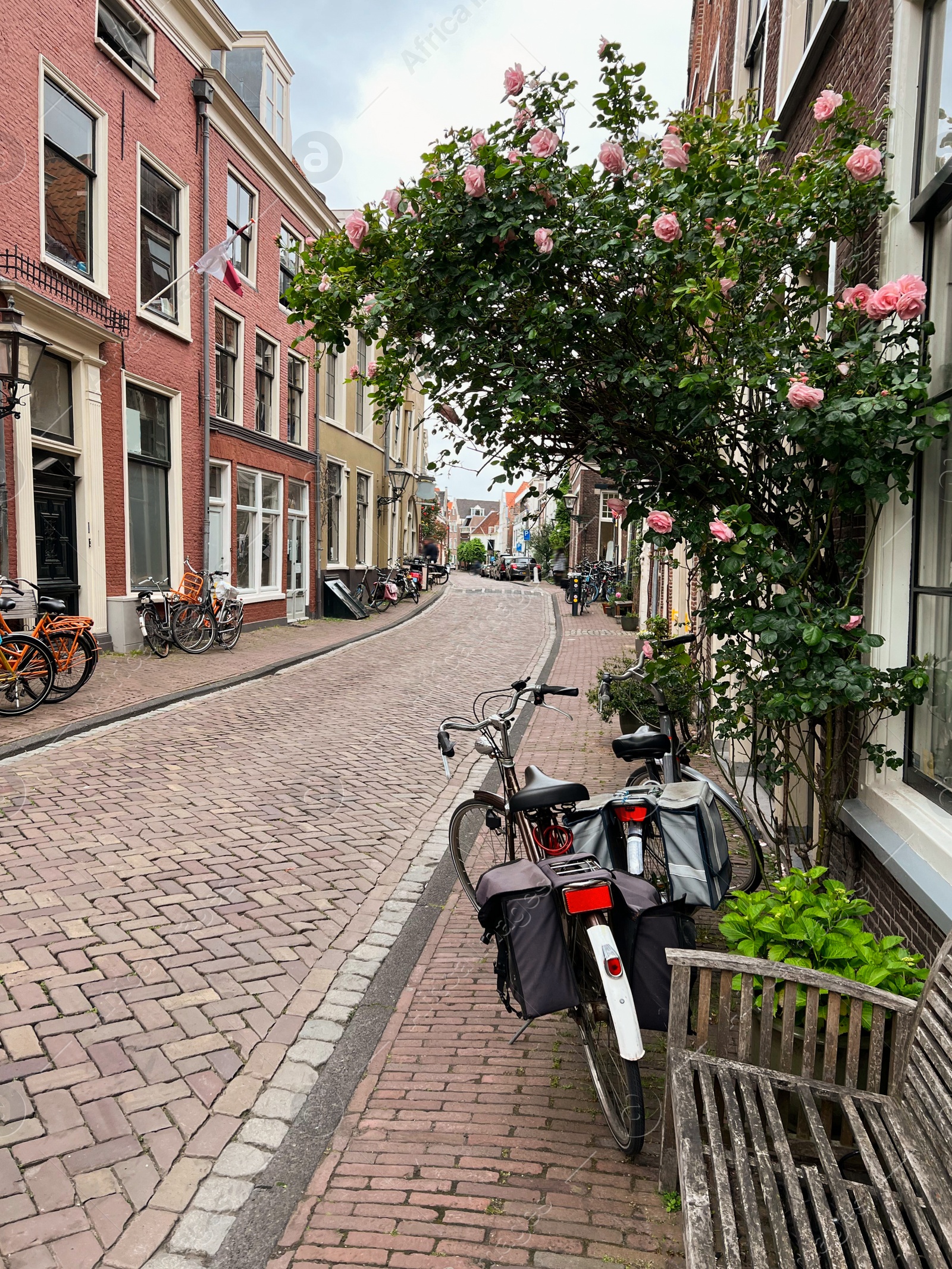 Photo of Beautiful view of city street with bicycles and pink rose bush