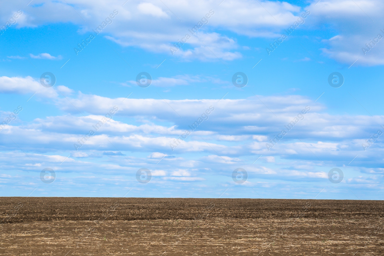 Photo of Picturesque view of agricultural field on cloudy day