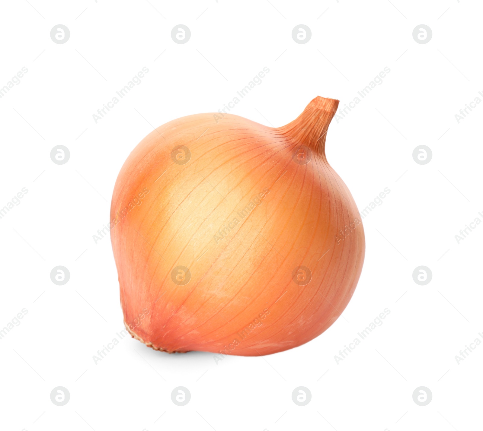 Photo of One fresh unpeeled onion isolated on white