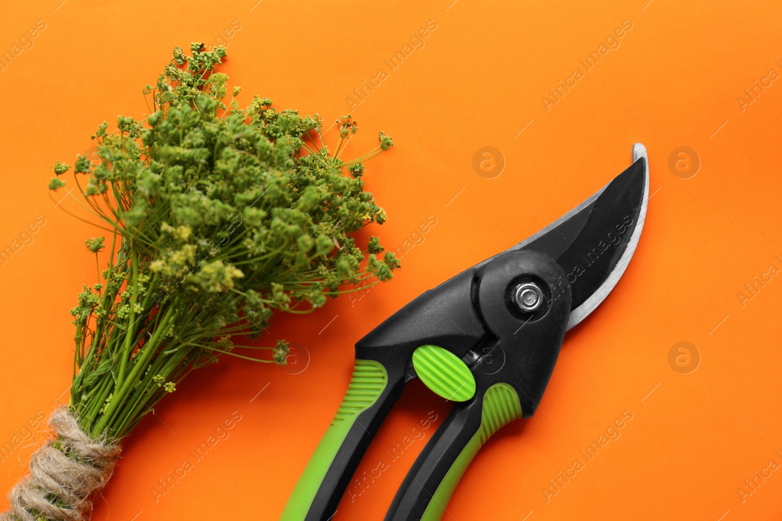 Photo of Secateur and bunch of wild flowers on orange background, flat lay