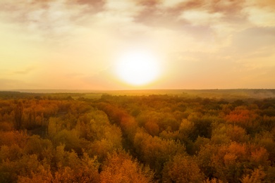 Image of Aerial view of beautiful autumn forest and sun