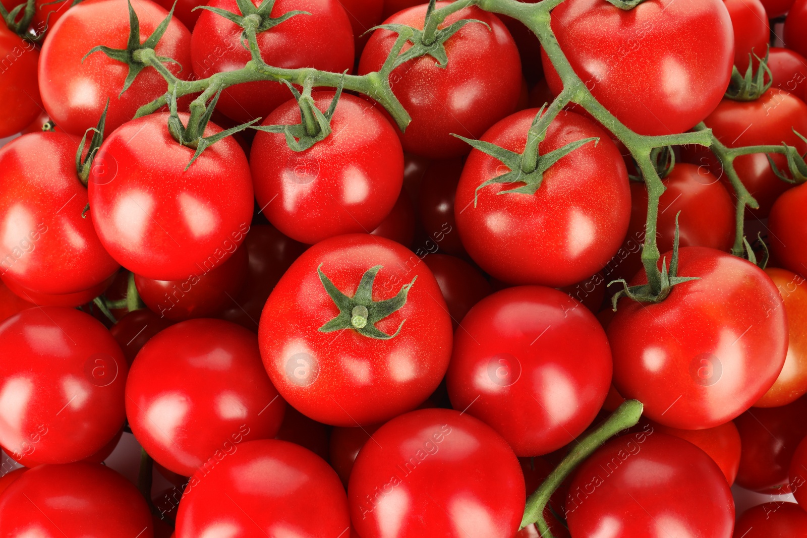 Photo of Many fresh ripe cherry tomatoes as background, top view