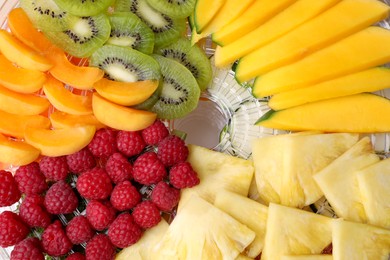 Photo of Cut fruits on dehydrator machine tray, above view