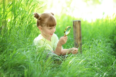 Photo of Little girl exploring plant outdoors. Summer camp