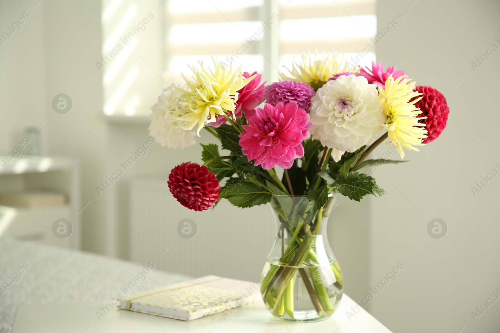 Bouquet of beautiful Dahlia flowers in vase and notebook on white table indoors. Space for text Photo of Bouquet of beautiful Dahlia flowers in vase and notebook on white table indoors. Space for text
