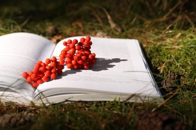 Photo of Open book and red rowan berries on grass outdoors, closeup