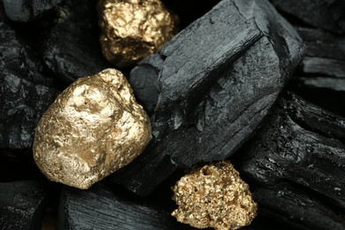 Photo of Three shiny gold nuggets on coal, closeup