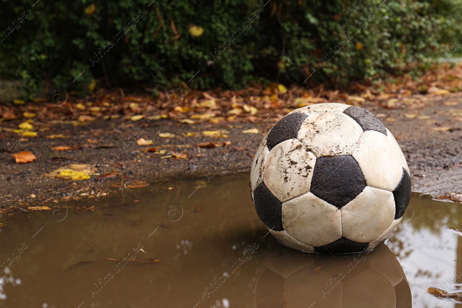 Photo of Dirty soccer ball in muddy puddle, space for text