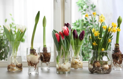 Beautiful spring flowers in glassware on grey window sill