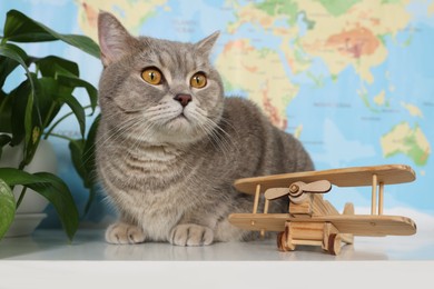 Photo of Cute cat, houseplant and toy plane on table against world map. Travel with pet concept