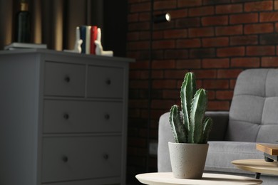 Beautiful potted cactus on wooden table in living room, space for text