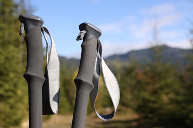 Photo of Trekking poles in forest on sunny day, closeup. Space for text