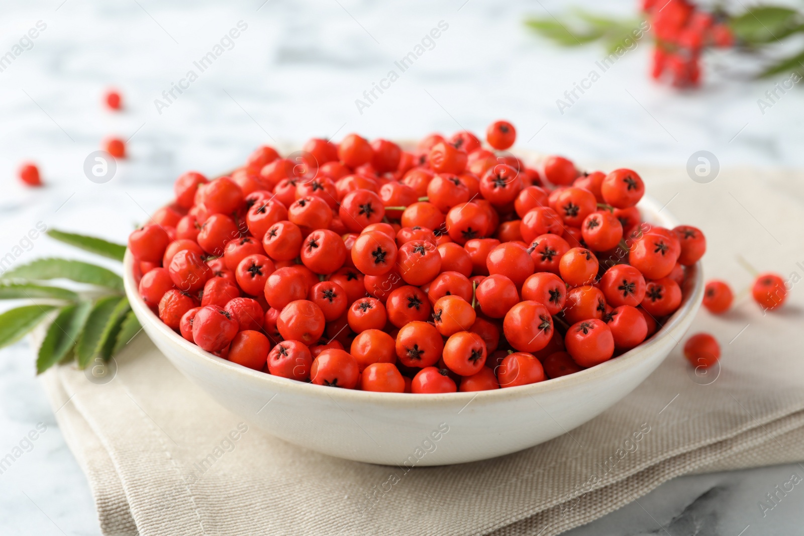 Photo of Fresh ripe rowan berries in bowl on white table, closeup