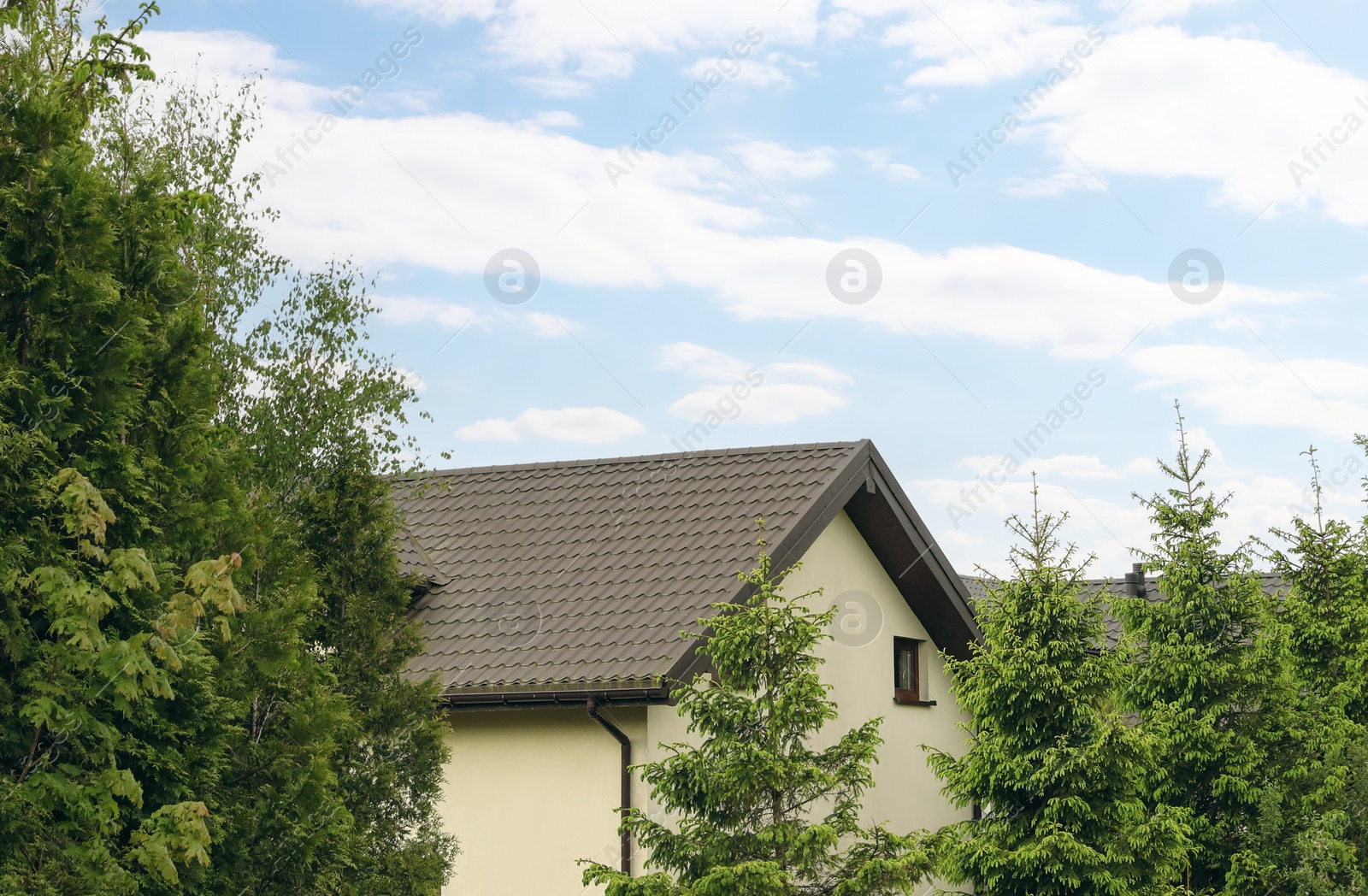 Photo of Modern building with grey roof in forest on spring day