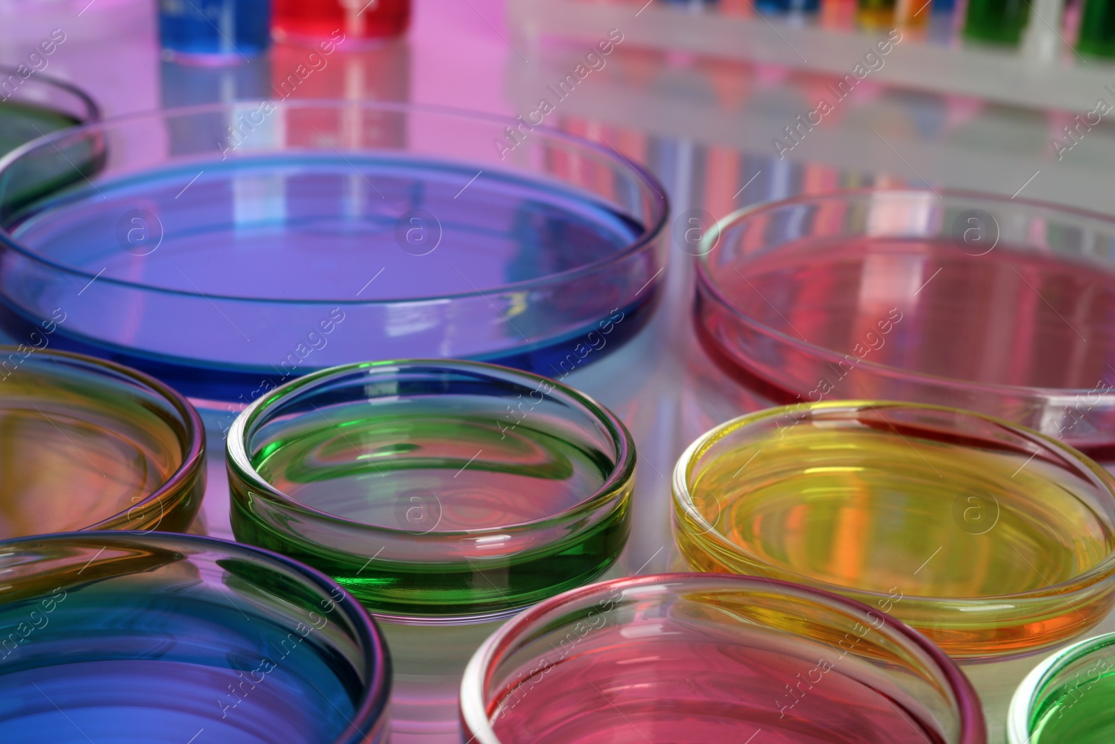 Photo of Petri dishes with different colorful samples on table, closeup