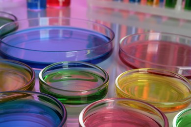 Photo of Petri dishes with different colorful samples on table, closeup