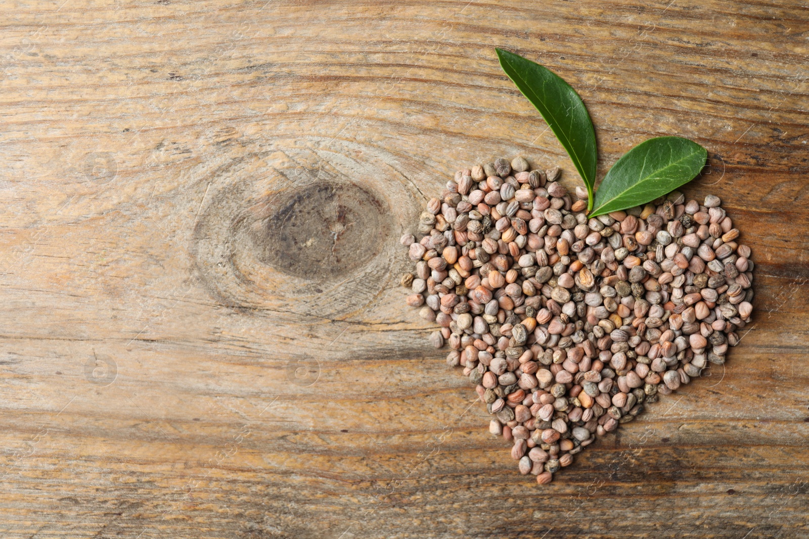 Photo of Heart made of raw radish seeds and space for text on wooden background, top view. Vegetable planting