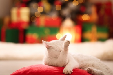 Photo of Cute white cat on pillow in room decorated for Christmas. Adorable pet