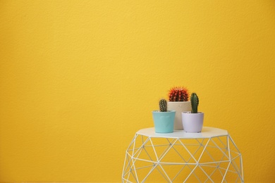 Beautiful cacti in flowerpots on table near color wall