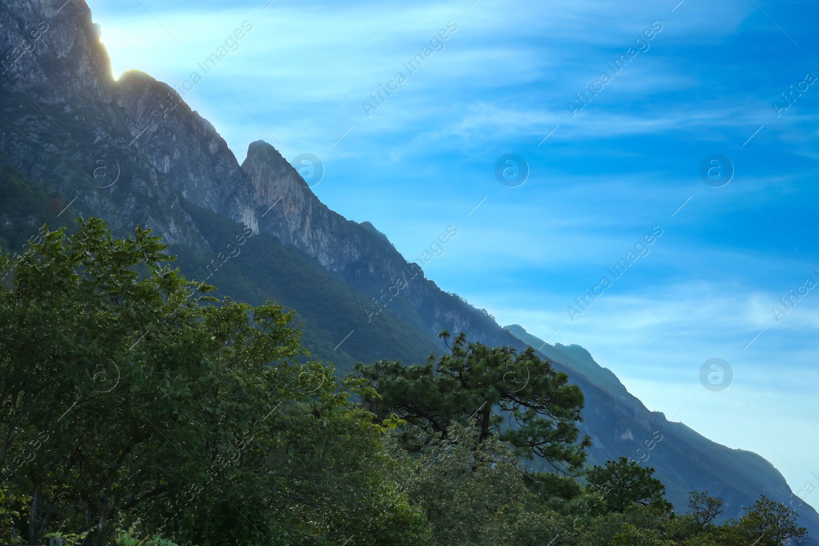 Photo of Big mountains and trees under blue sky on sunny day