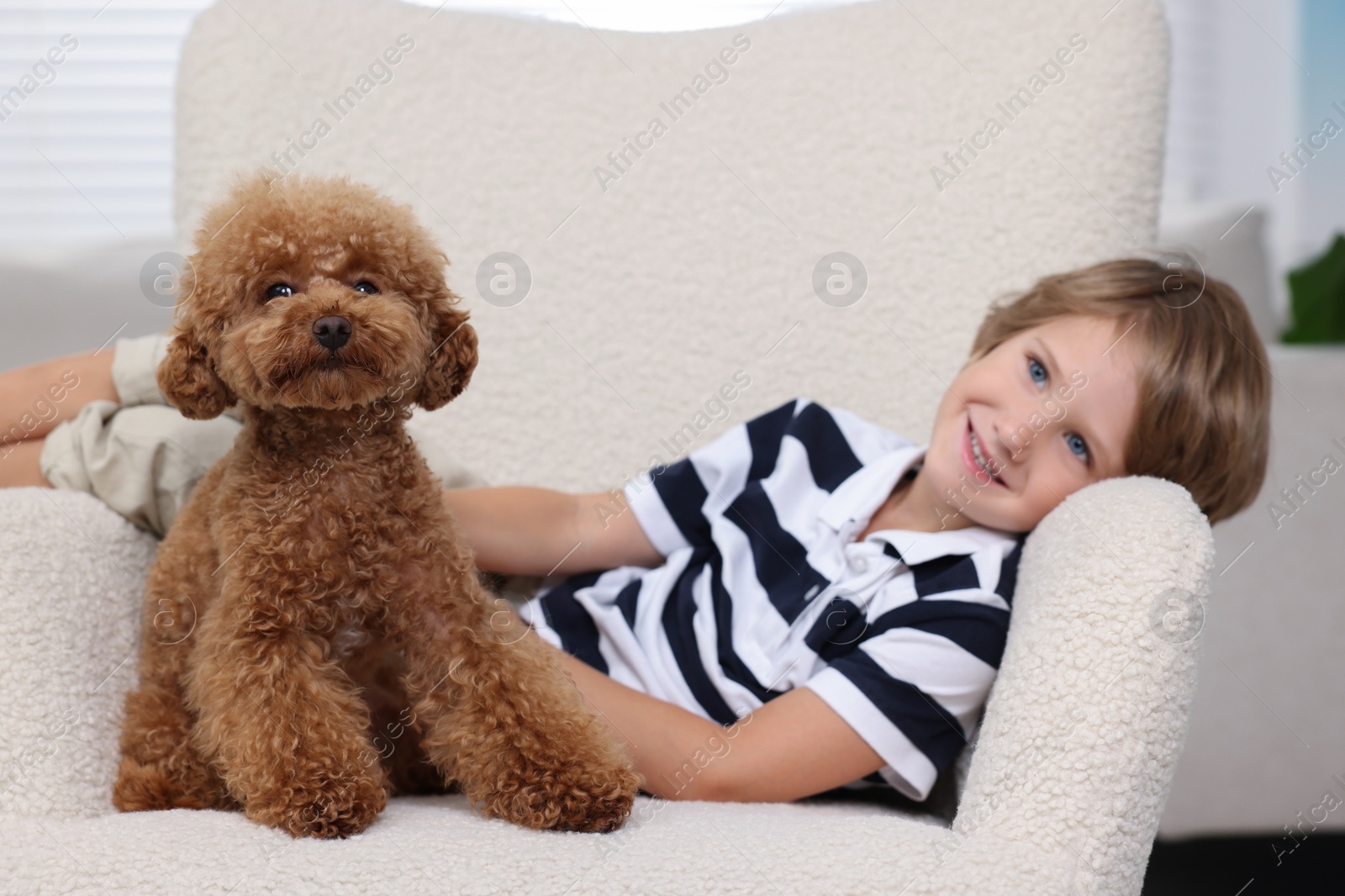 Photo of Little child with cute puppy in armchair indoors. Lovely pet