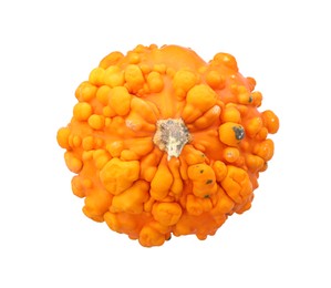 Photo of One fresh orange pumpkin isolated on white, top view