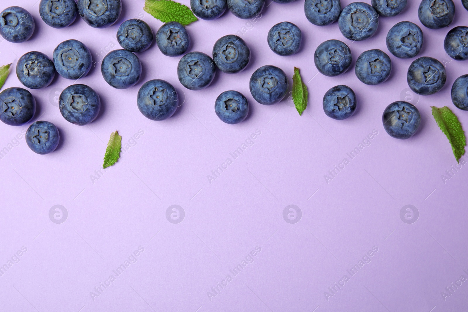 Photo of Tasty ripe blueberries and leaves on violet background, flat lay with space for text