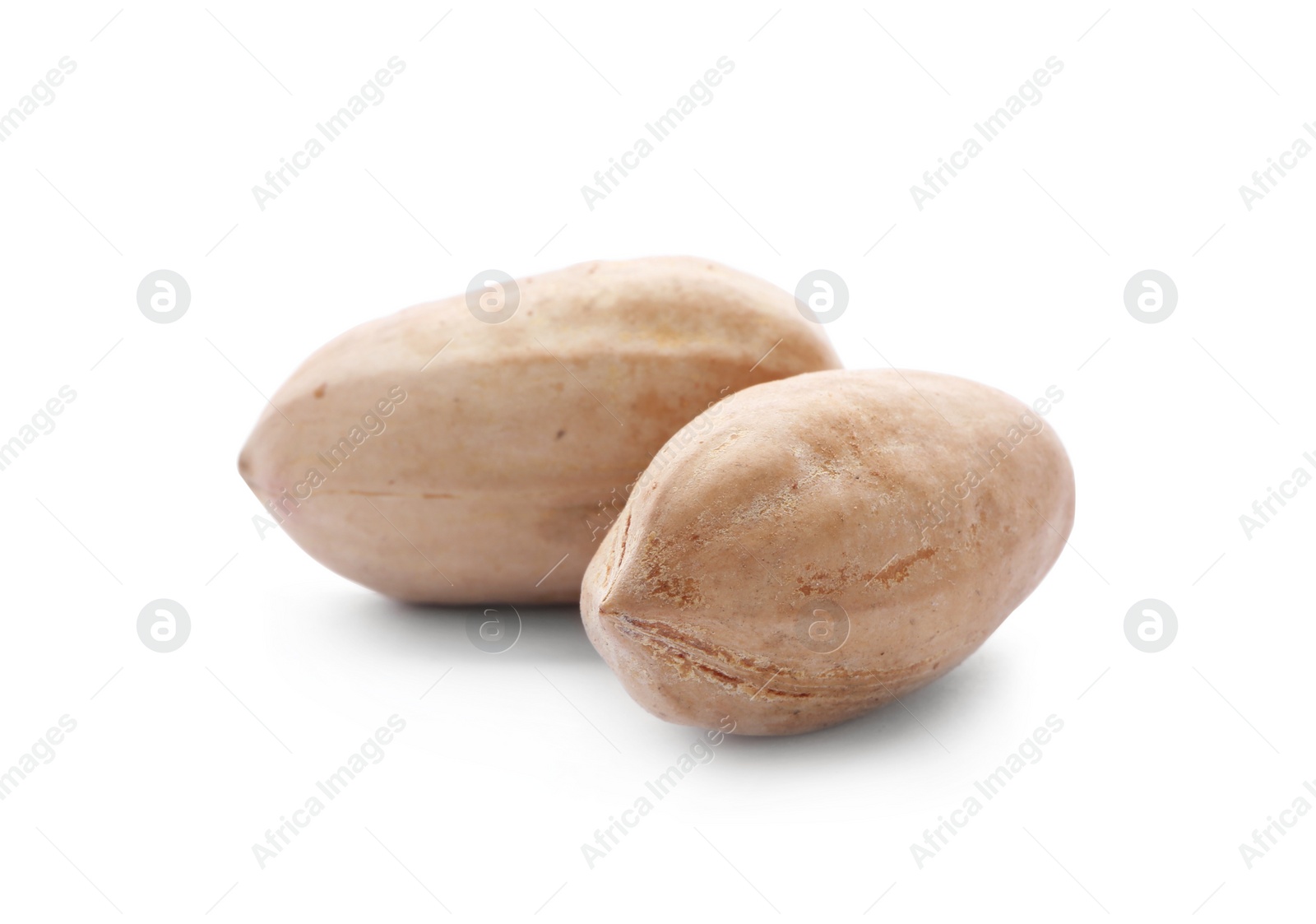 Photo of Pecan nuts in shell on white background. Nutritive food