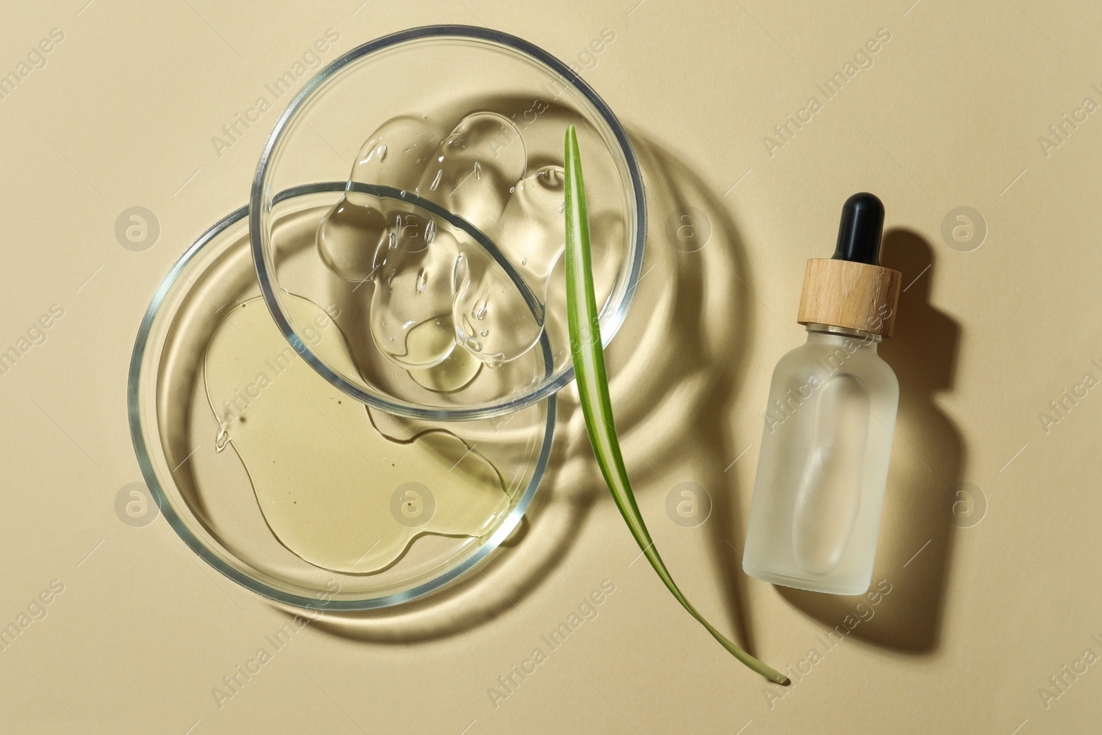 Photo of Petri dishes with cosmetic products and leaf on beige background, flat lay