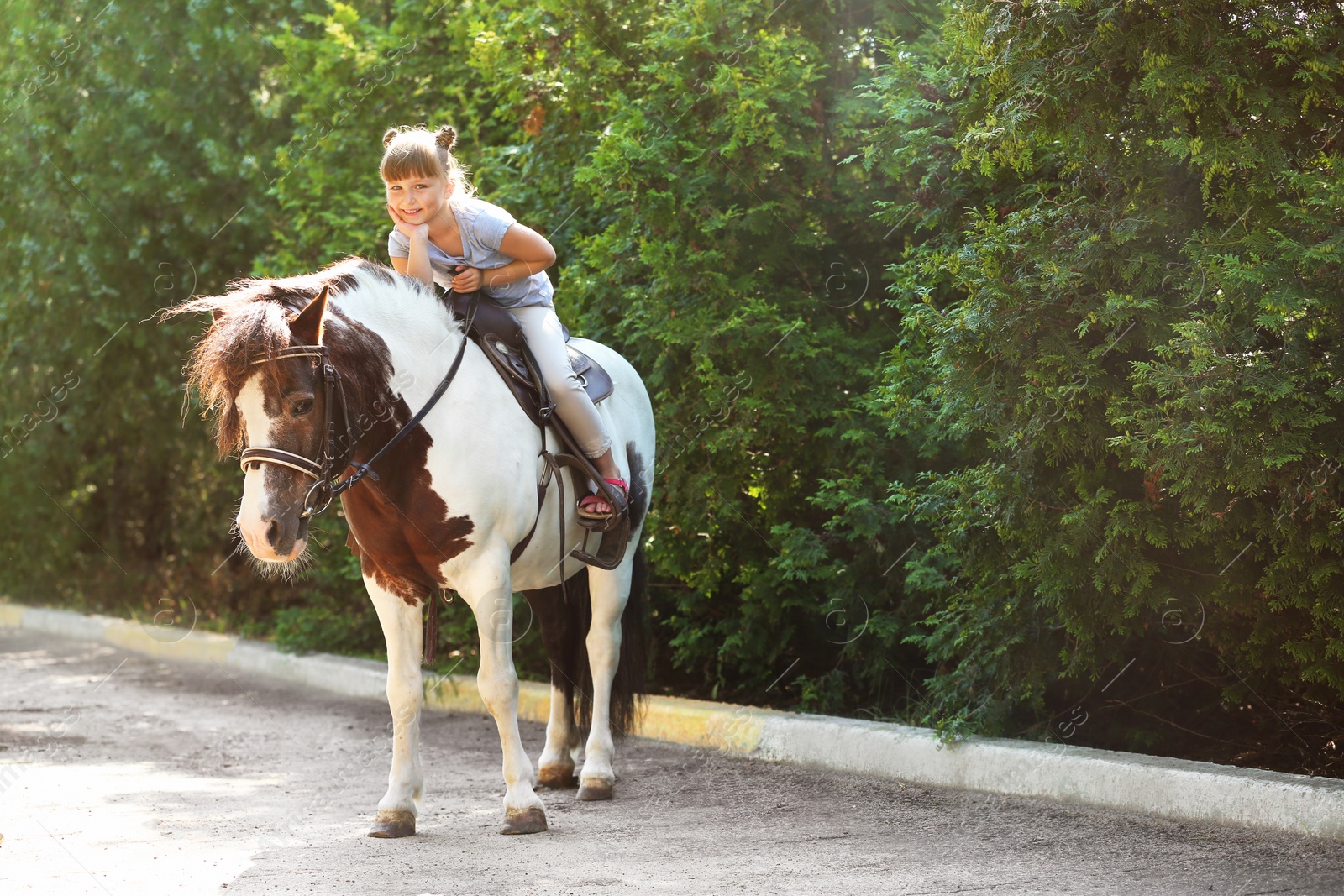 Photo of Cute little girl riding pony in green park