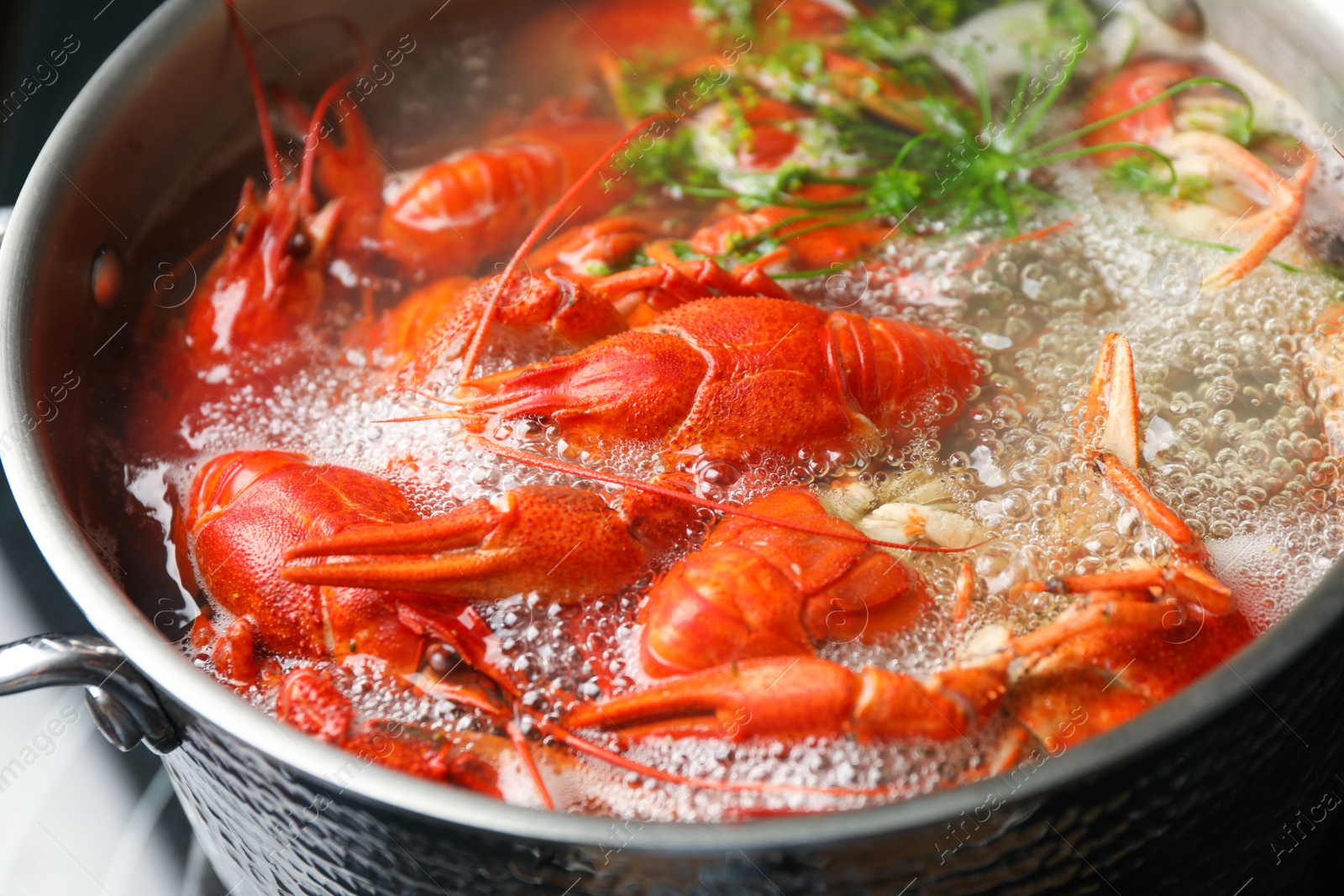 Photo of Fresh delicious crayfishes in boiling water, closeup