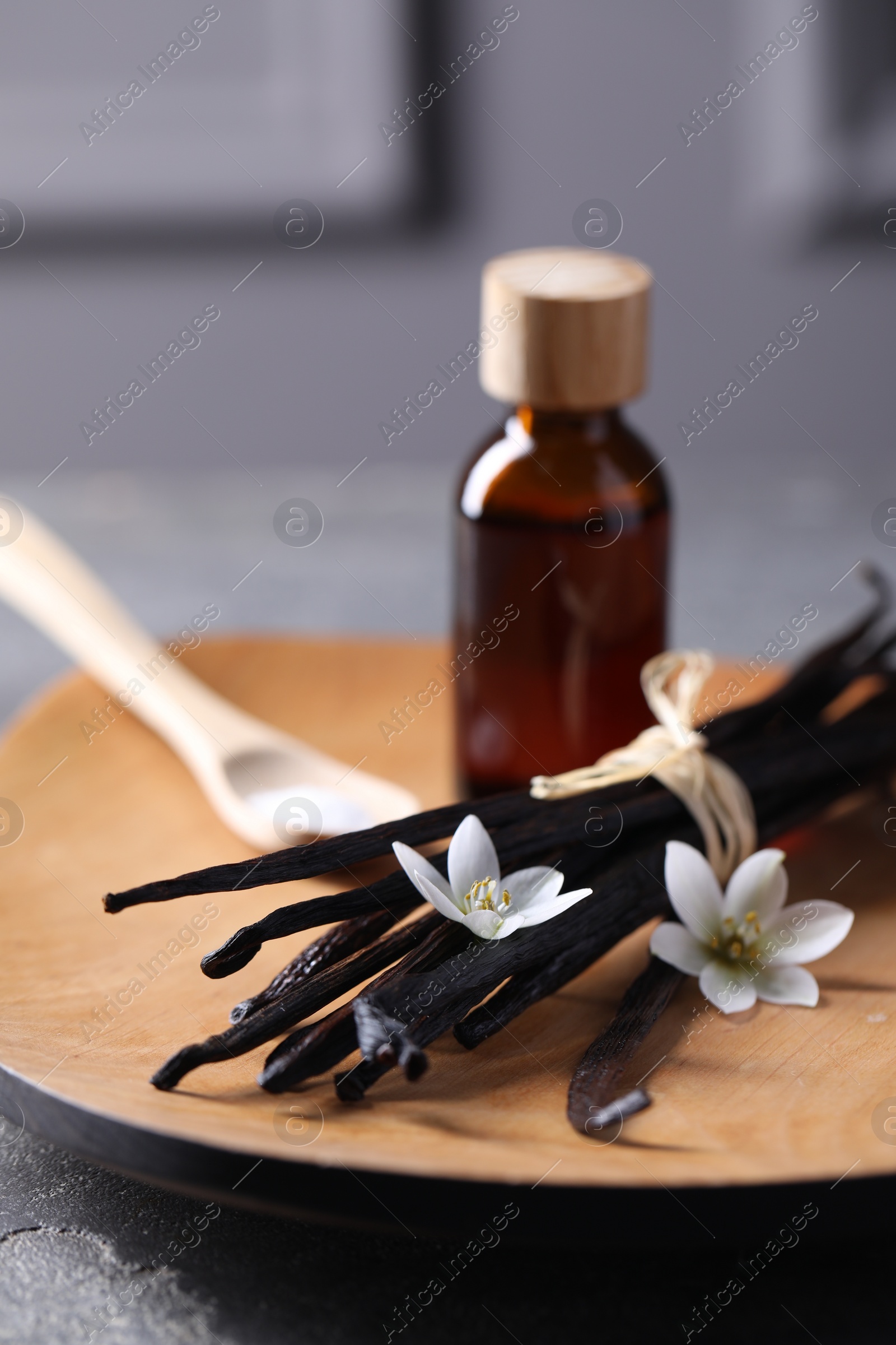 Photo of Vanilla pods, flowers and bottle of essential oil on grey table, closeup