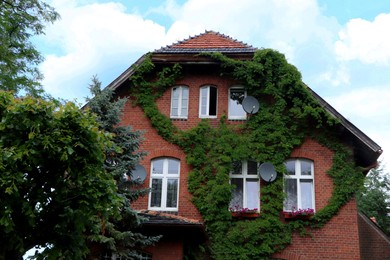 Beautiful view of modern cottage overgrown with green ivy outdoors on sunny day