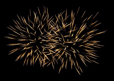 Image of Beautiful bright fireworks lighting up night sky