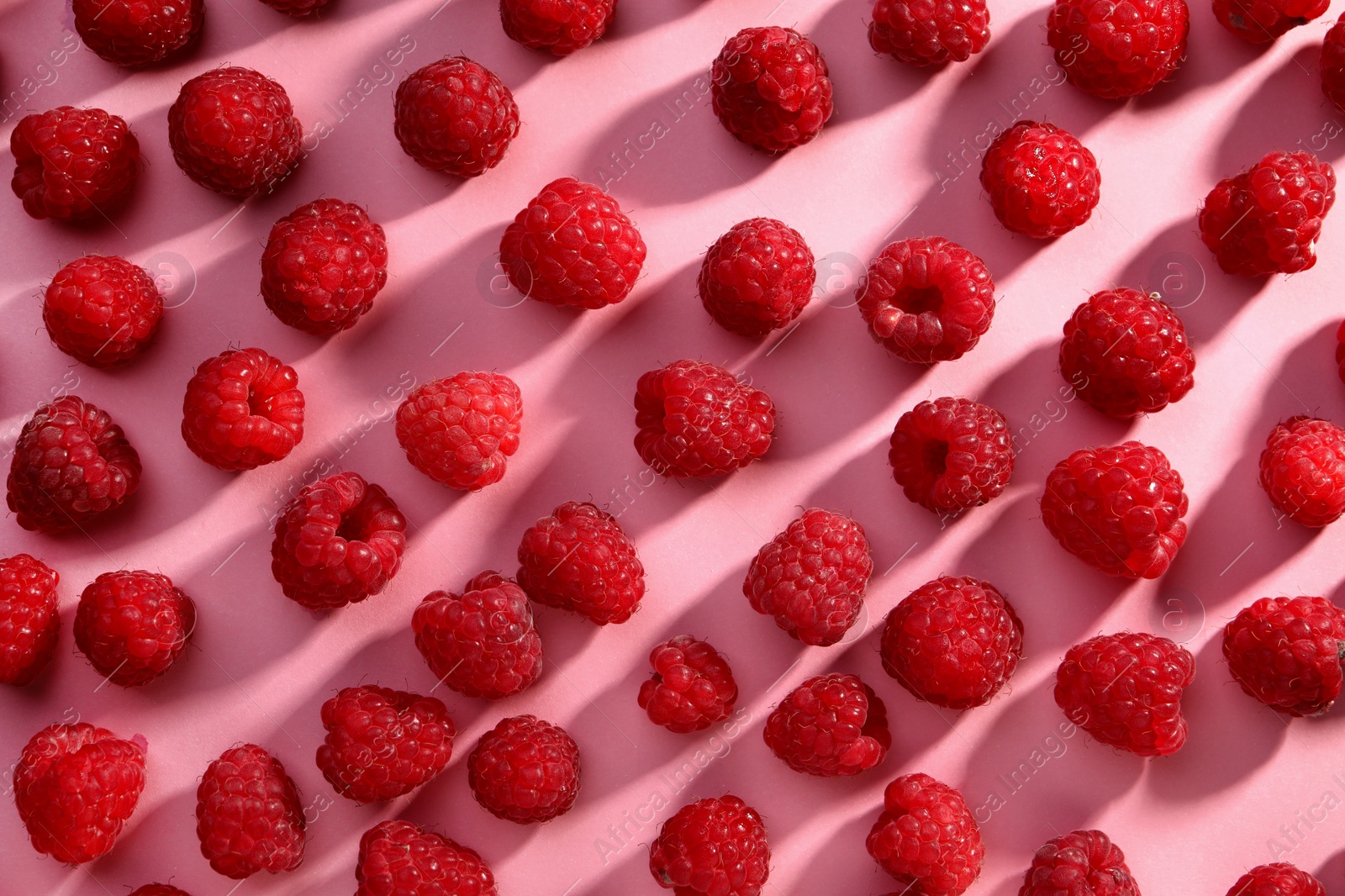 Photo of Tasty ripe raspberries on pink background, flat lay