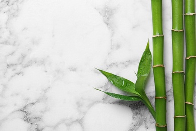 Green bamboo stems on white marble background, top view. Space for text