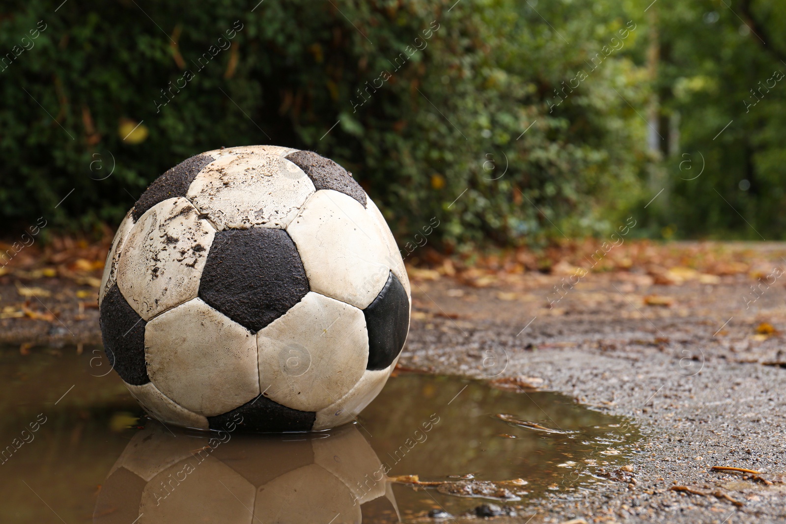 Photo of Dirty soccer ball in muddy puddle, space for text