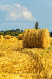 Beautiful view of agricultural field with hay bales