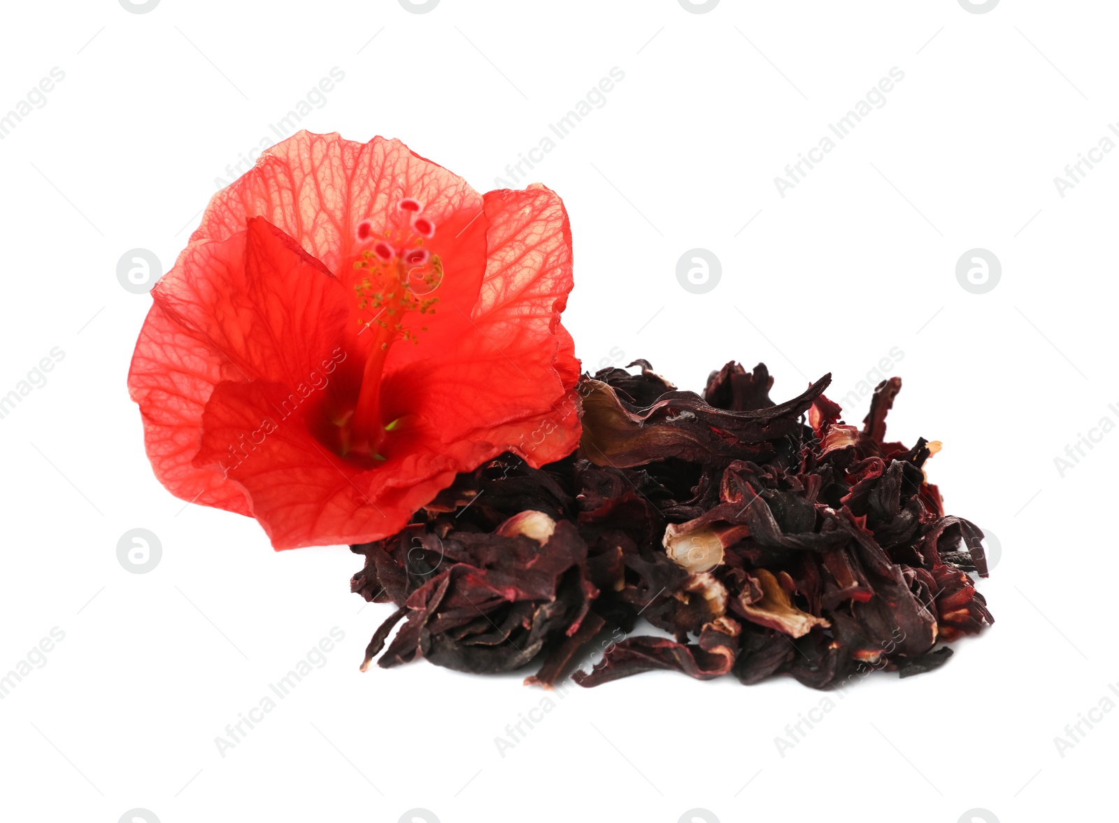 Photo of Dry hibiscus tea and beautiful flower on white background