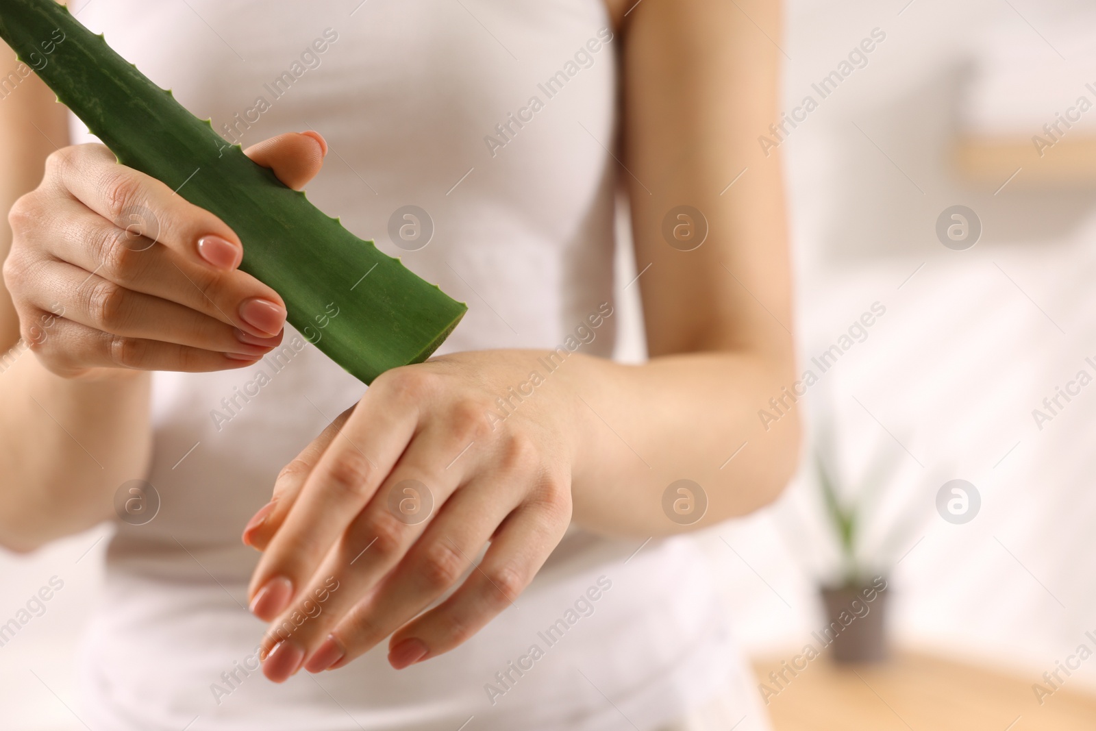 Photo of Young woman applying aloe gel from leaf onto her hand indoors, closeup. Space for text