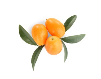 Fresh ripe kumquats with leaves on white background, top view. Exotic fruit