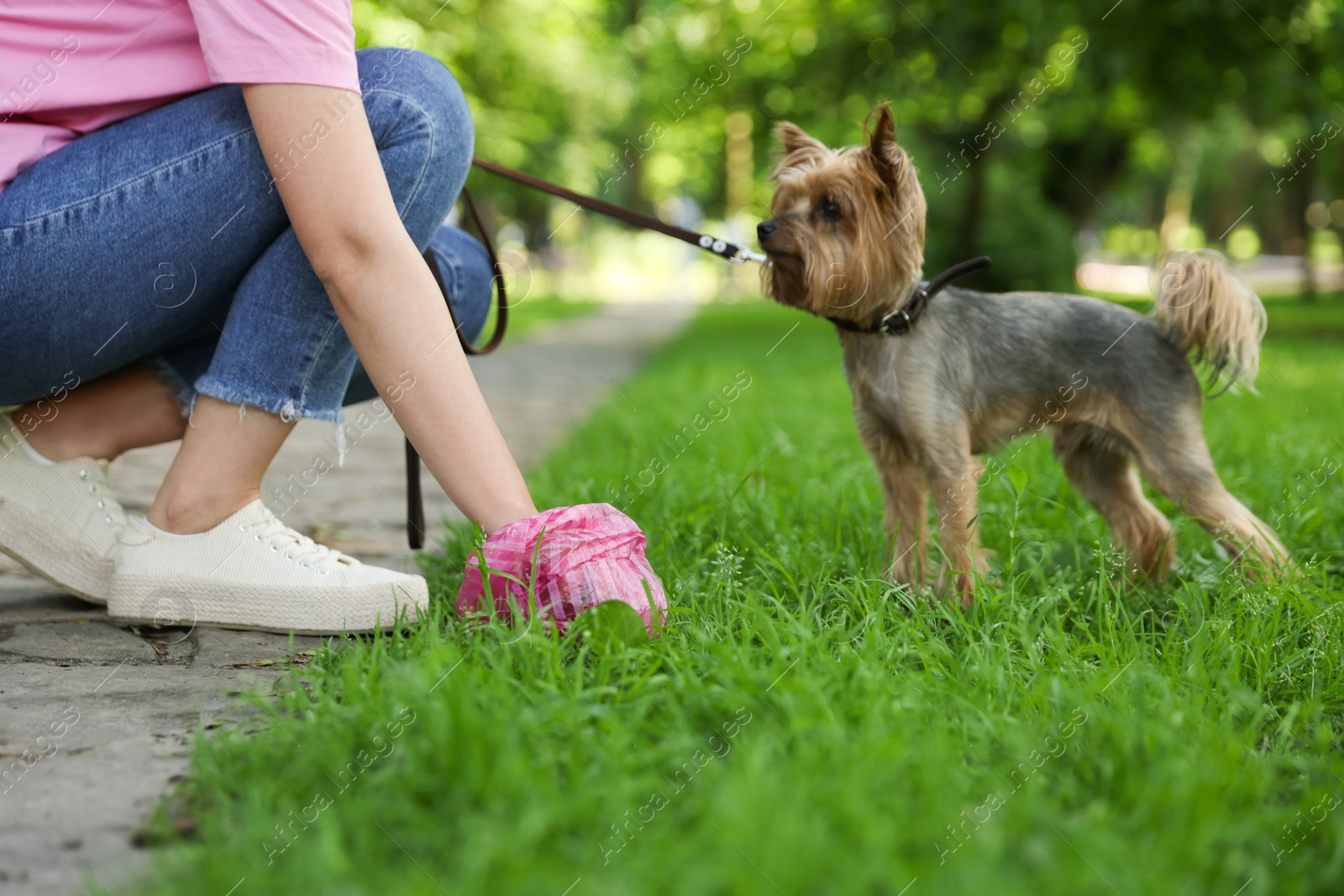 Photo of Woman picking up her dog's poop from green grass in park, closeup