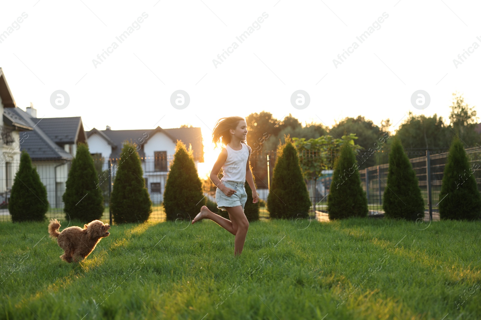 Photo of Beautiful girl running with cute Maltipoo dog on green lawn at sunset in backyard