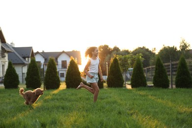 Photo of Beautiful girl running with cute Maltipoo dog on green lawn at sunset in backyard